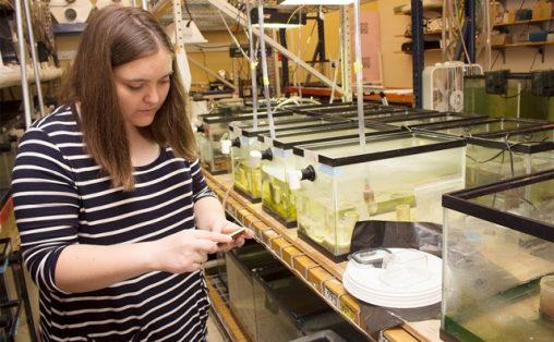 DDN: Wright State awarded $1 million for scholarships, undergrad research