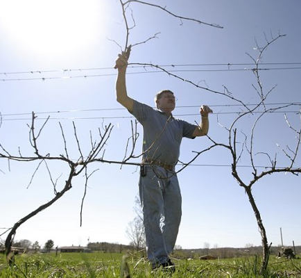 DDN: How could an engineering dean get hooked on winemaking?